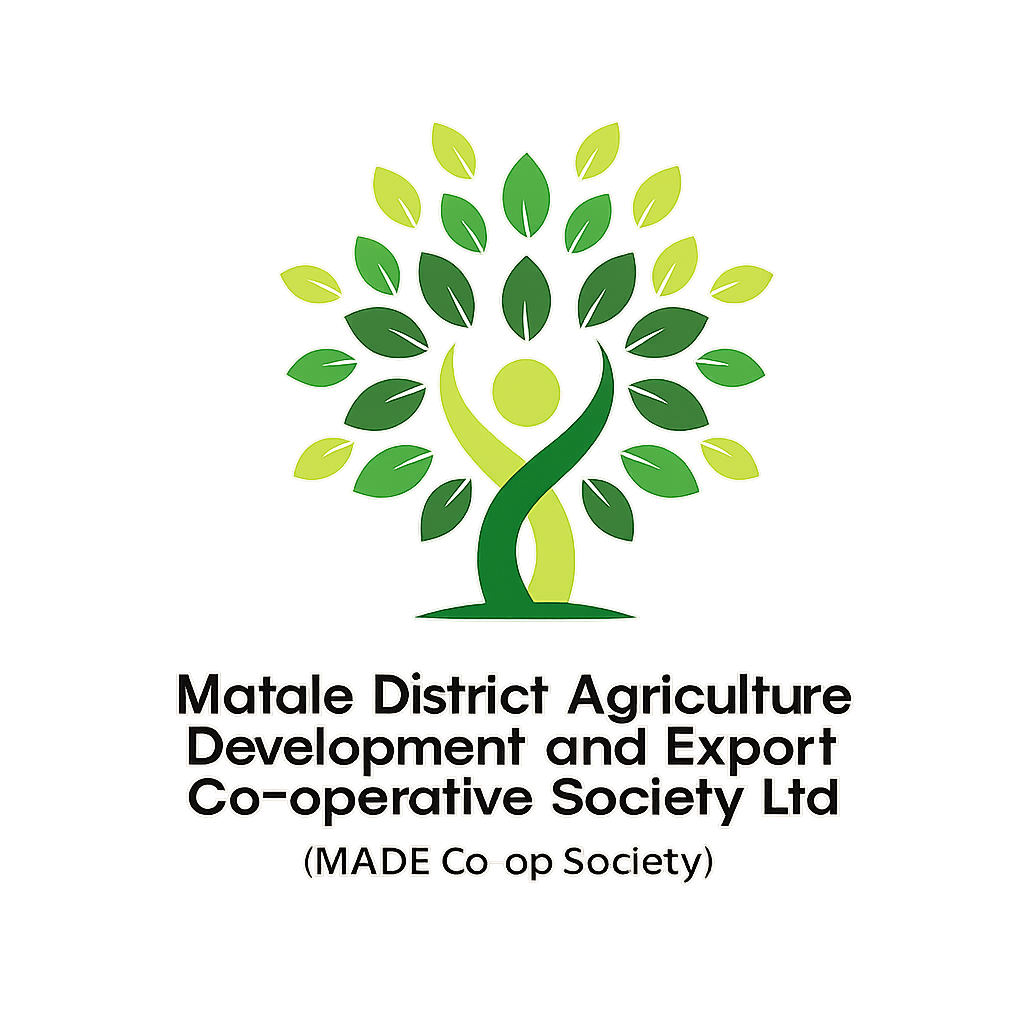 MADE Co-op Society Logo